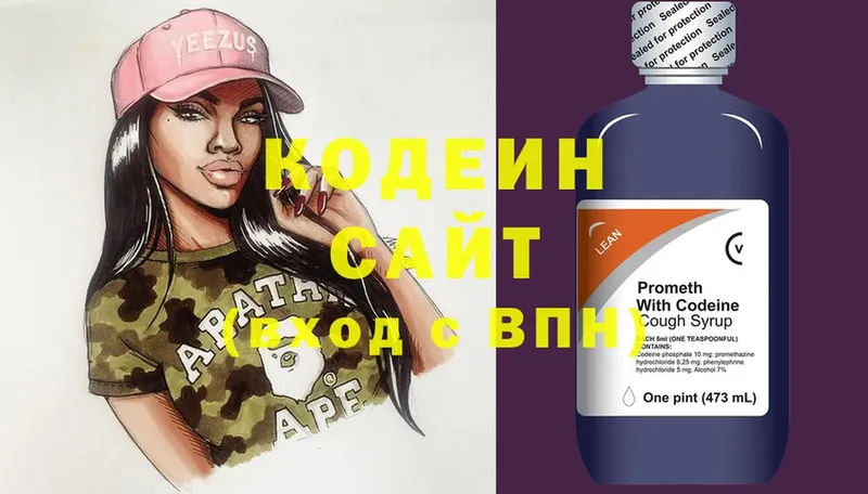 где купить наркотик  Новомичуринск  Кодеиновый сироп Lean Purple Drank 